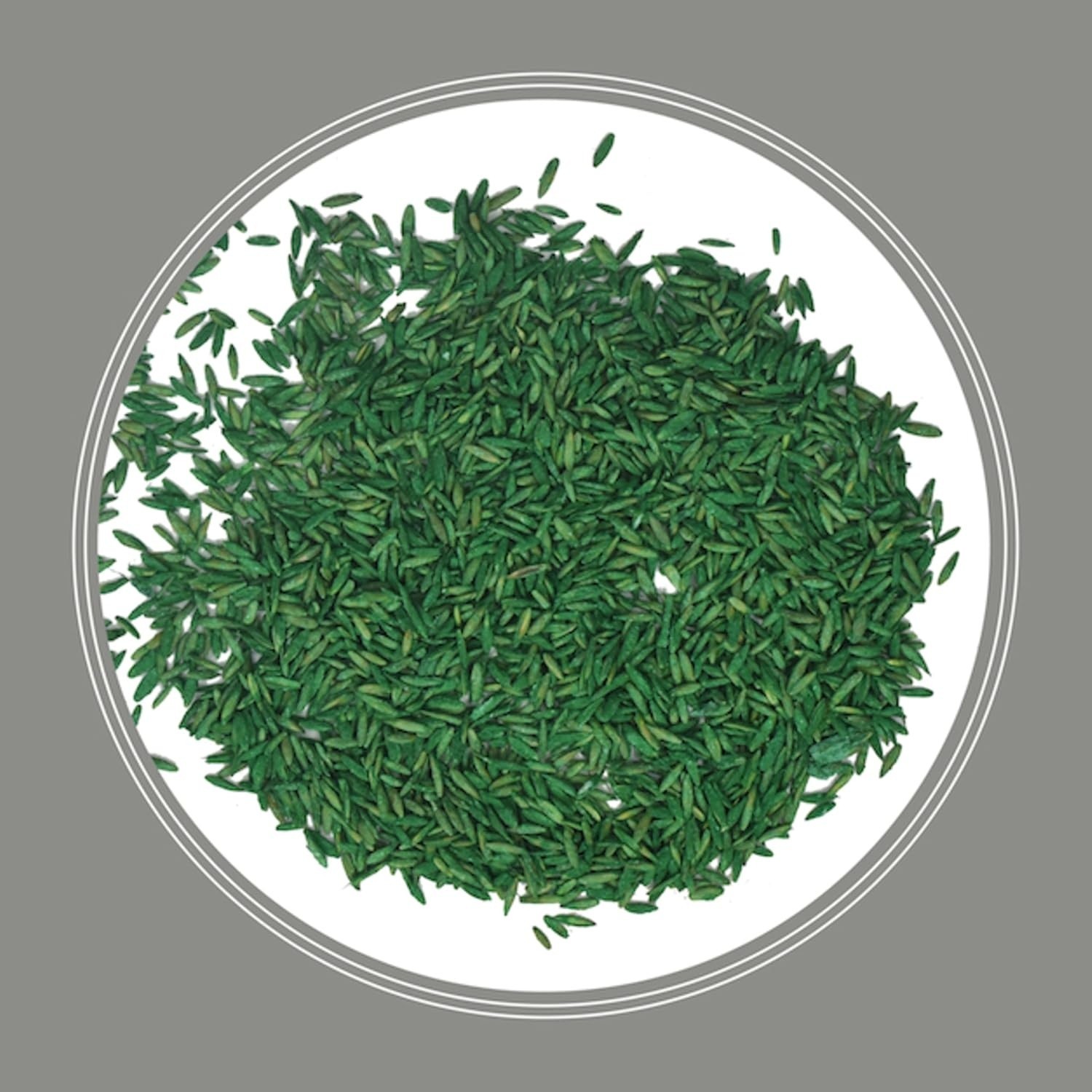 Pennington Northern Contractors Grass Seed Mix 40 lbs Covers Up To 8000 sq. ft.