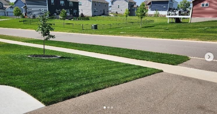 Premium Grass Seed Mix for Sun & Shade – Tall Fescue, Fine Fescue, Bluegrass & R