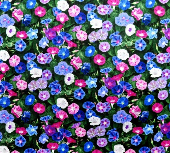 20 Morning GLORY Multi Color Flower Seeds Ascends up Trellis Fragrant Flower