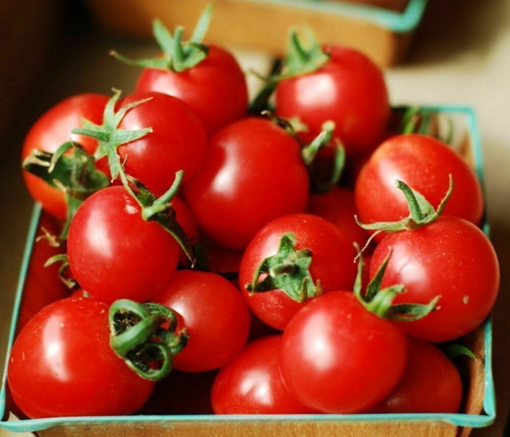 SCARBOROUGH SEEDS Large Red Cherry Tomato 100 Seeds -Non-GMO – SAME DAY SHIPPING