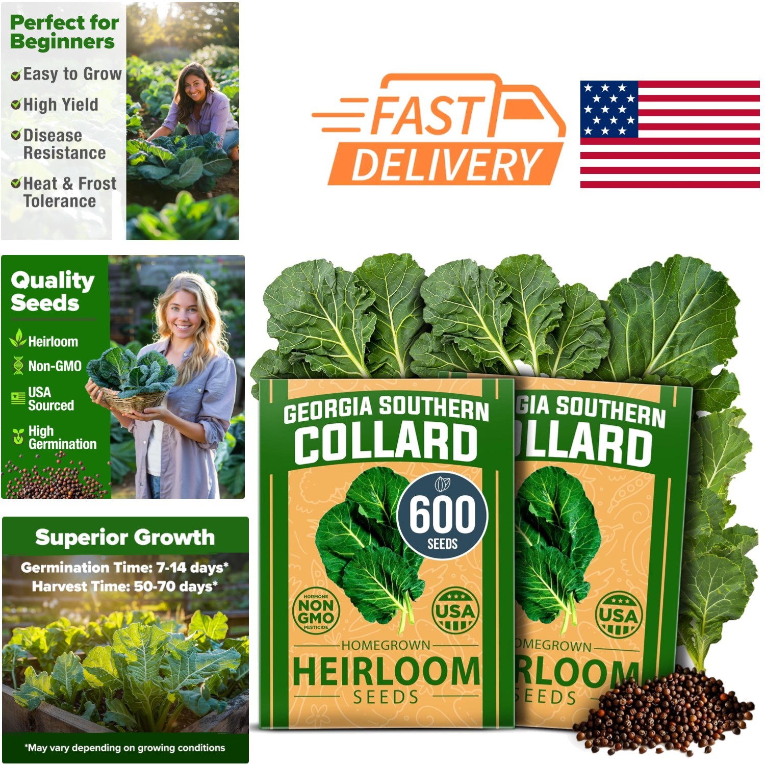Heirloom Collard Green Seeds 600 Non GMO Great for Beginners and Experts