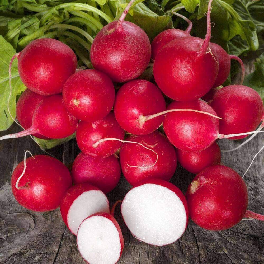 300+ CHERRY BELLE ORGANIC RADISH SEEDS AAS WINNER HEIRLOOM NON‑GMO FREE SHIPPING
