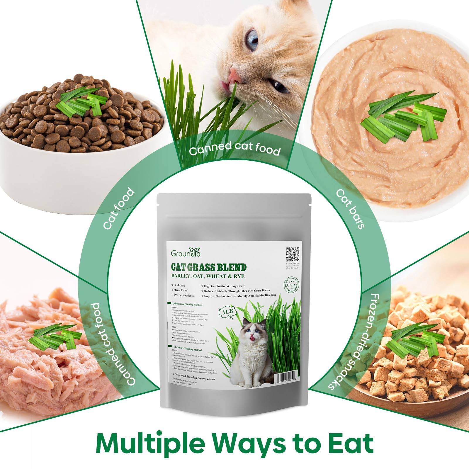 Cat Grass Seeds 16oz NonGMO Barley, Oats, Wheat, Rye Fast Germination