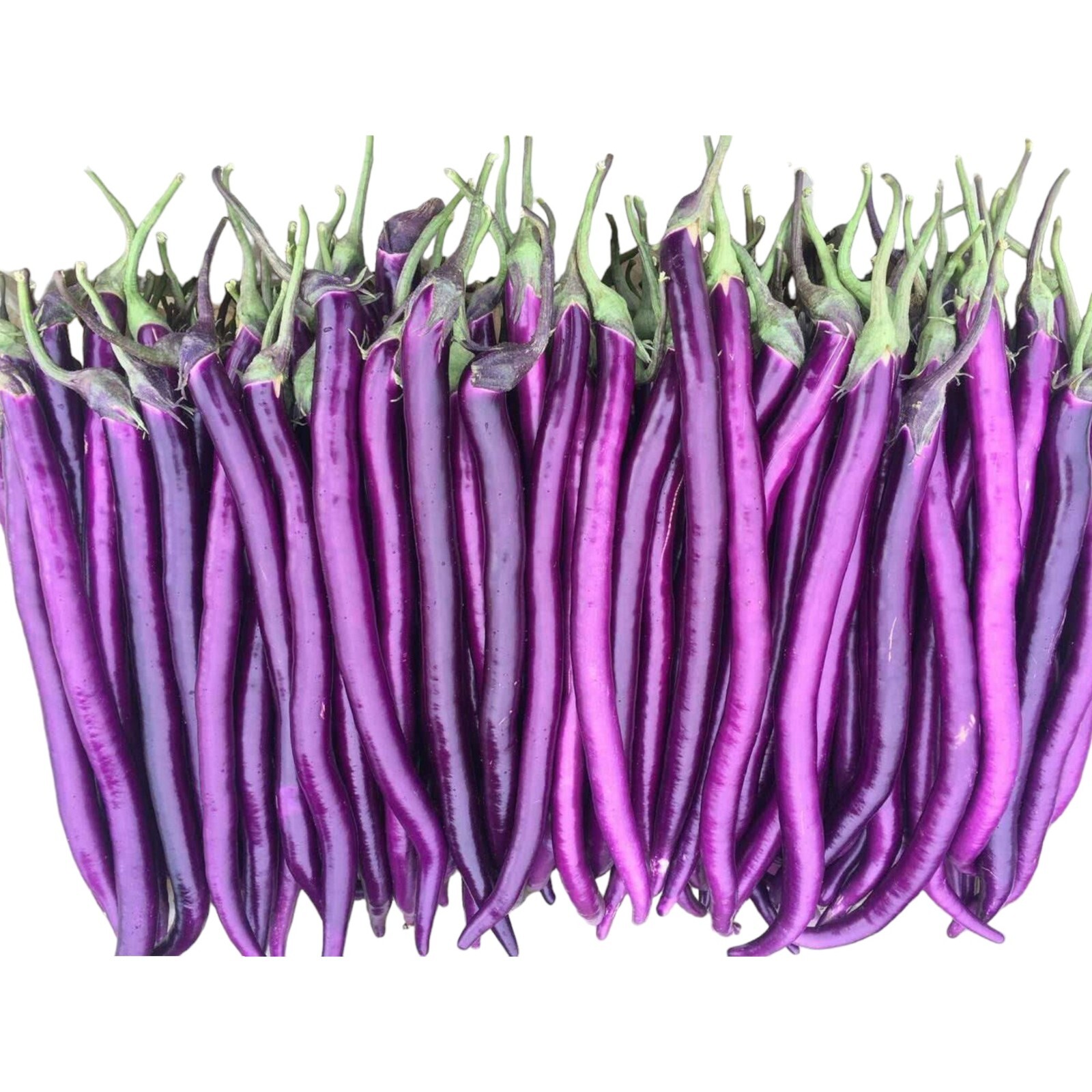 350pcs Long Purple Eggplant Seeds – Heirloom Variety, Non-GMO Vegetable Seed