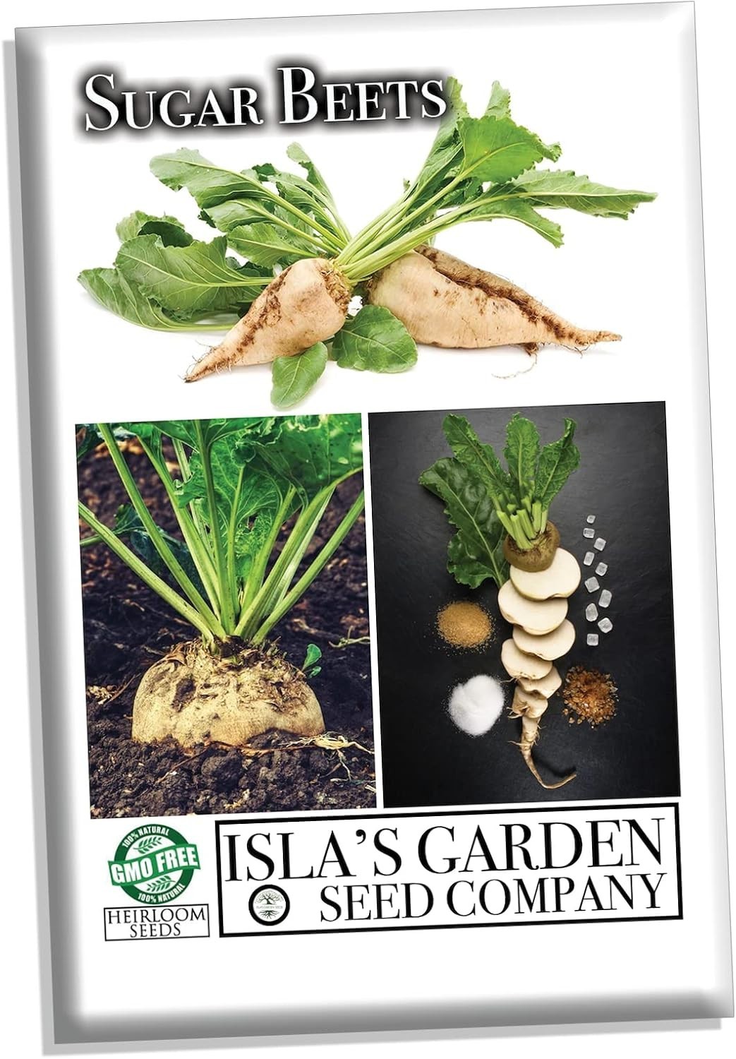 100+ Heirloom Non-GMO Sugar Beet Seeds for Bountiful Harvests – Easy to Grow