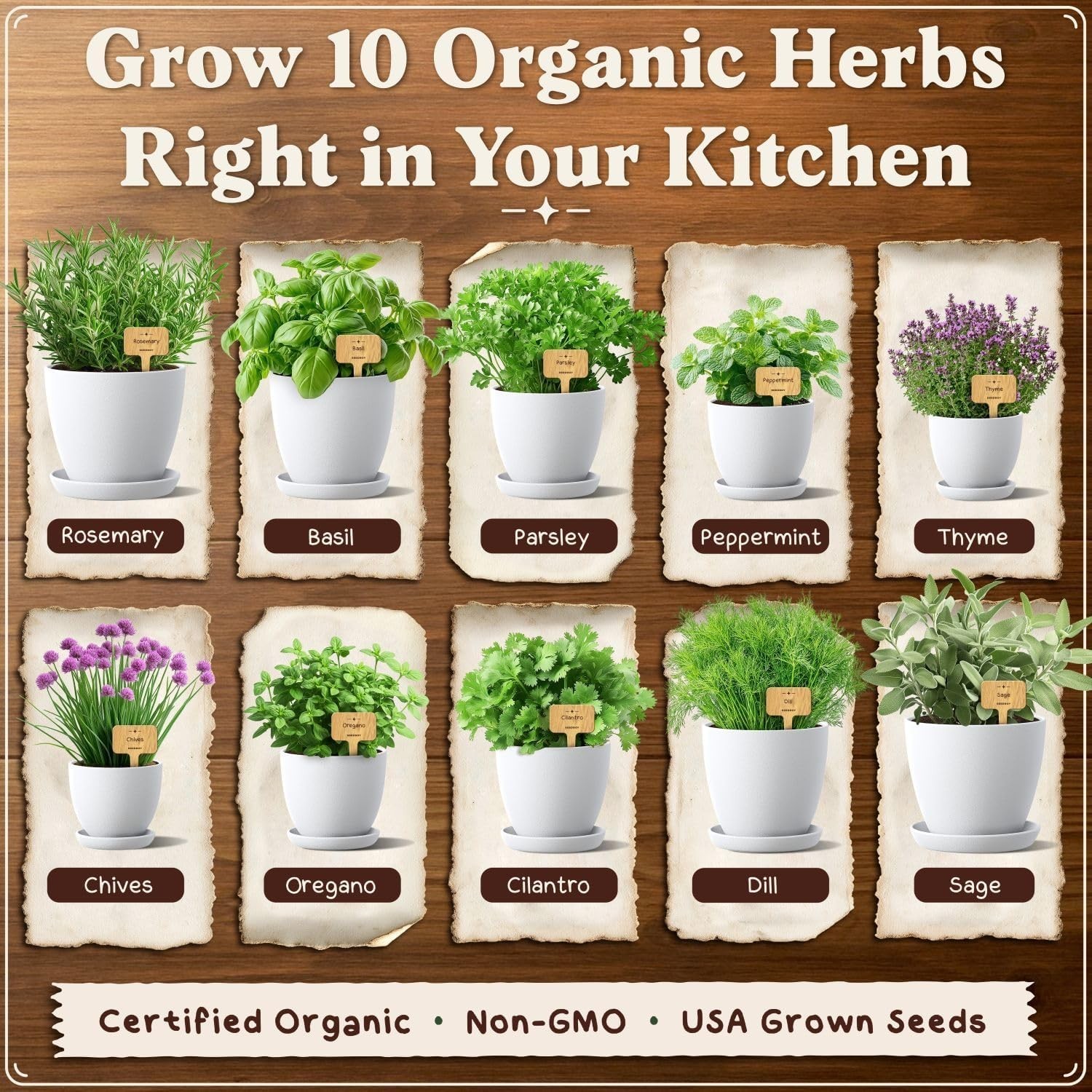 Organic 10 Herb Garden Starter Kit for Planting Indoor or Outdoor, Non-GMO US…