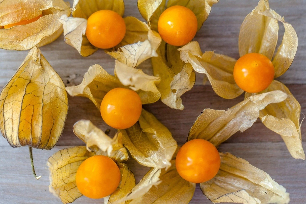 PERUVIAN GROUND CHERRY Physalis Peruviana Cape Gooseberry Fruit Veggie Seeds