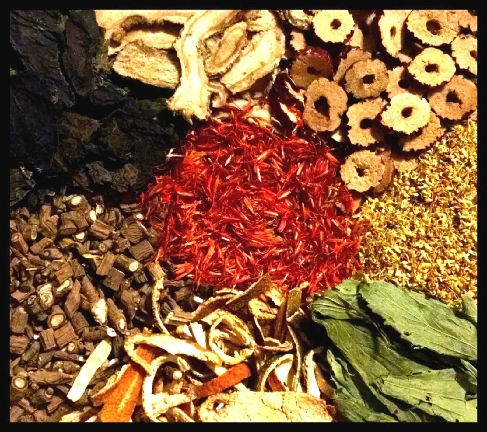 200 Balloon Flower Seeds – Platycodon grandiflorus Chinese Bellflower Perennial
