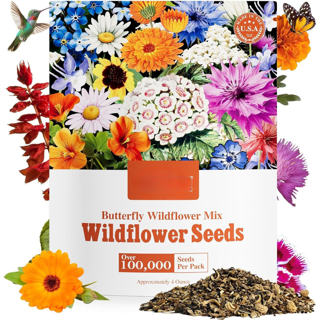 All Perennial Wildflower Seeds Bulk Mix W/ Milkweed Pollinators Zones 3-10 1/4LB