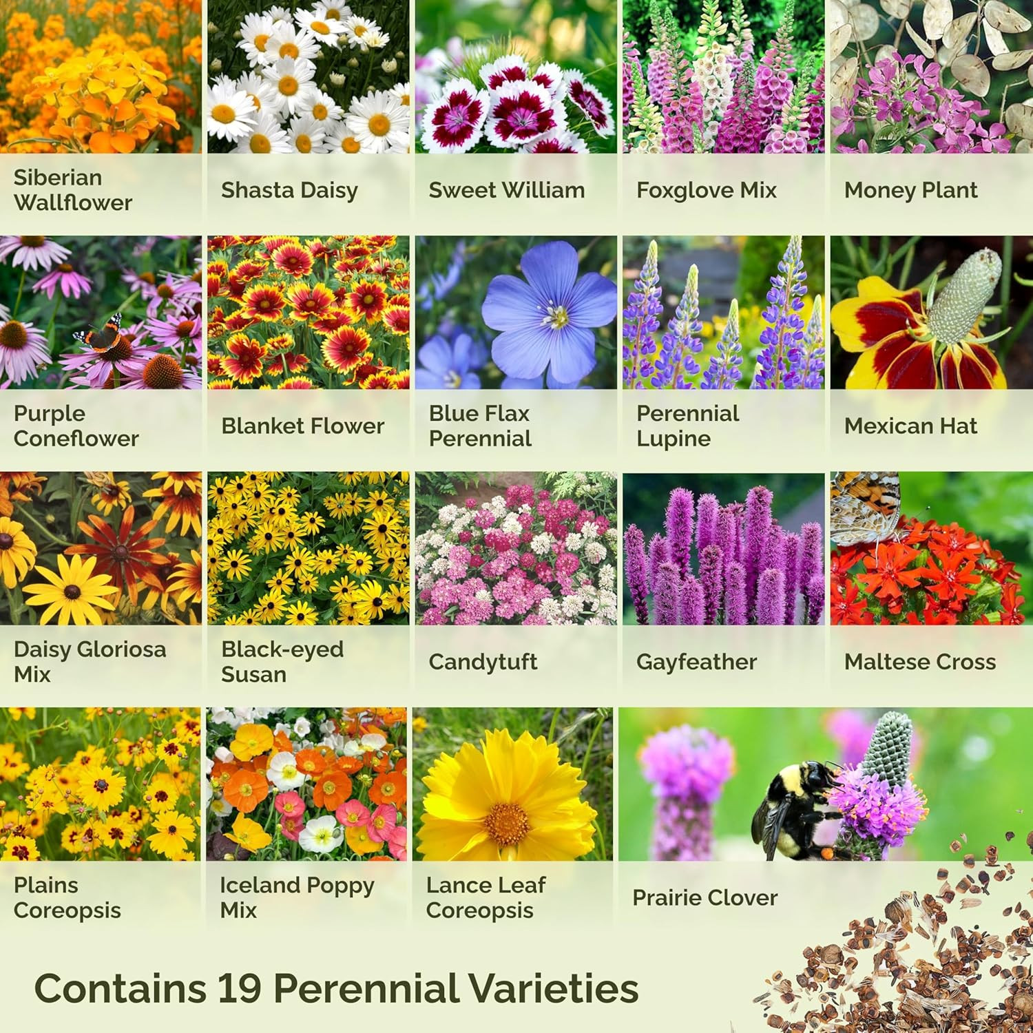 Perennial Wildflower Seed Mix, 5 Lb – 2.4M+ Seeds for Pollinator Gardens