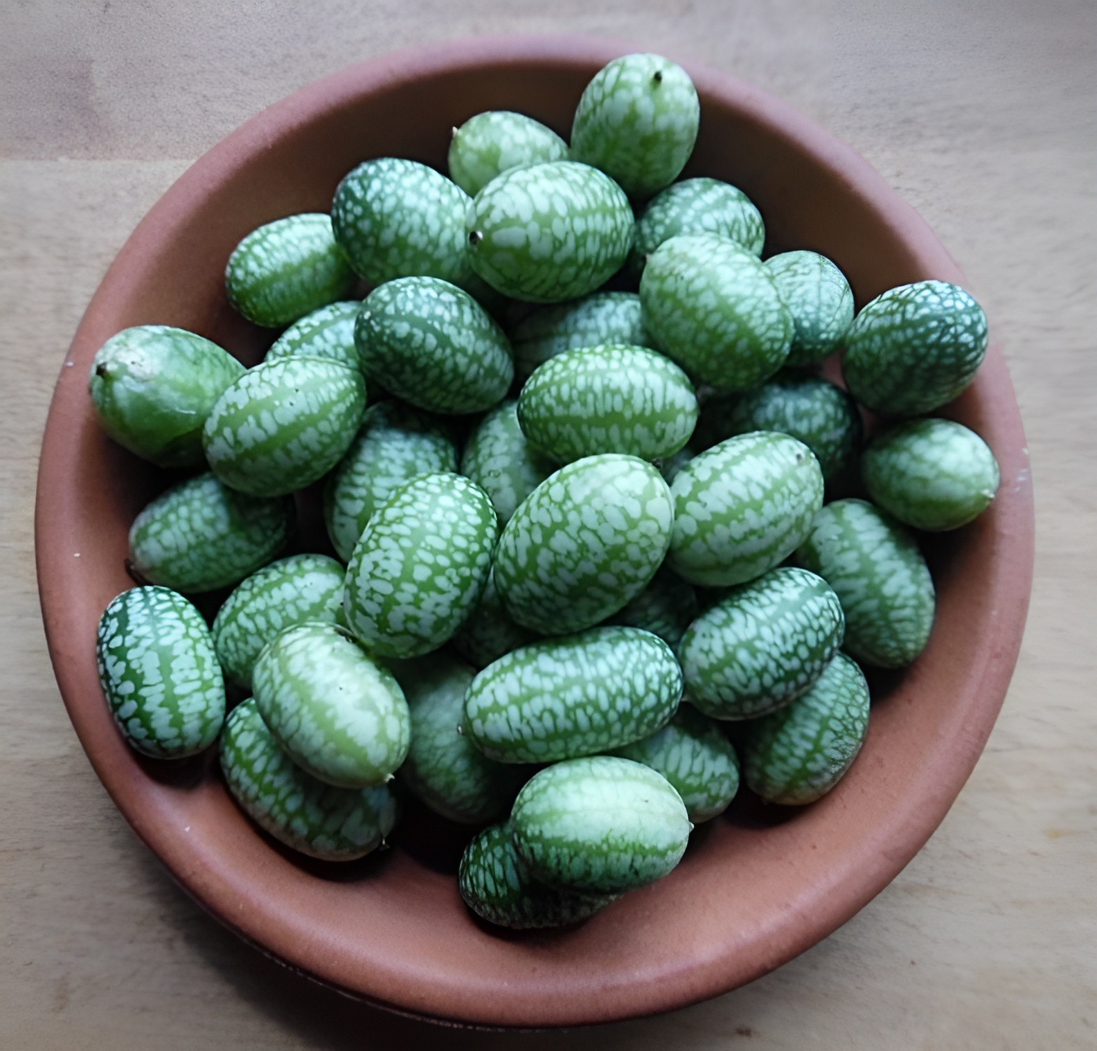 150 Heirloom Organic Straight Eight Cucumber Seeds – Bitter Free! Sweet&Crisp!