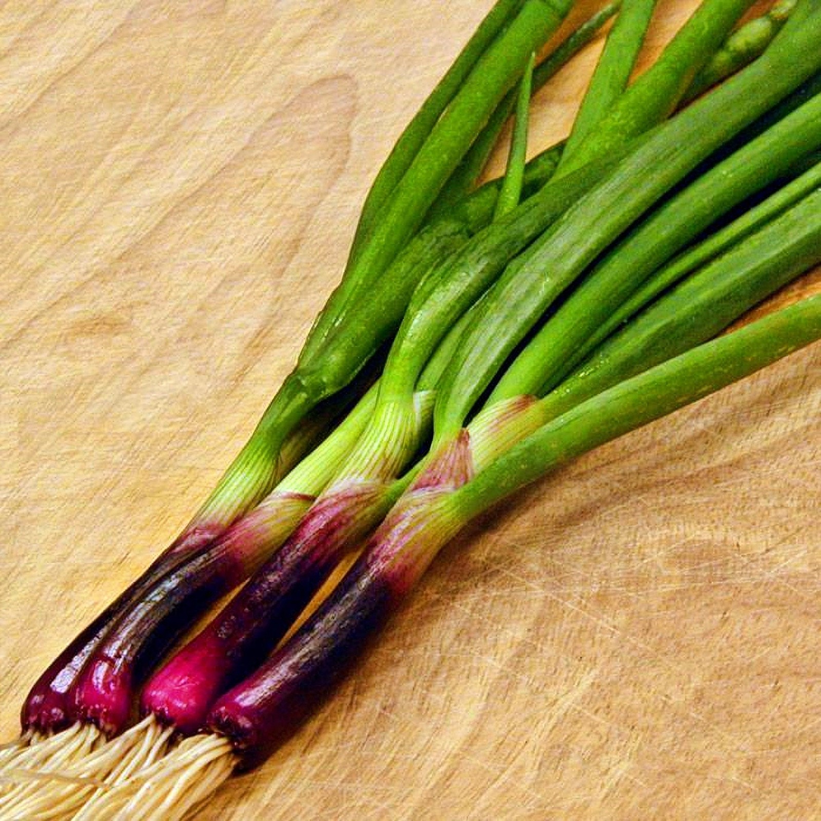 Apache Bunching Onion Seeds Heirloom Red Scallion Vegetable Garden USA