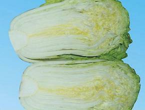 Cabbage China Gold F1 250 seeds