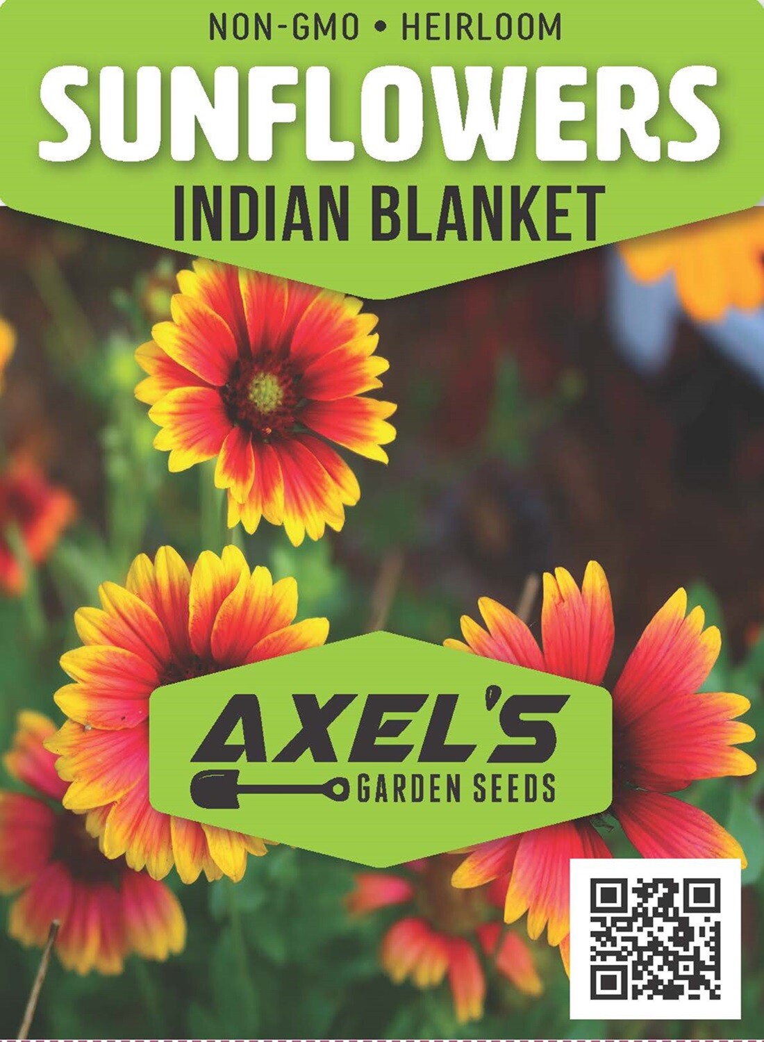 Bulk Sunflower Seeds for Planting – Heirloom NonGmo Flower Seeds for Home Garden