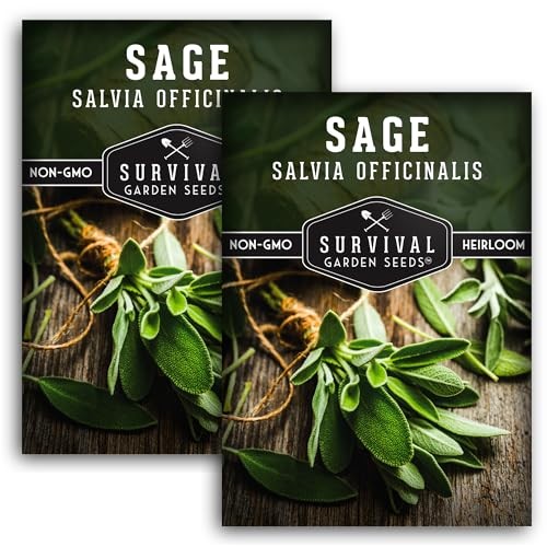 Packs Culinary Sage Seed for Planting – Packet with Instructions to Grow 2