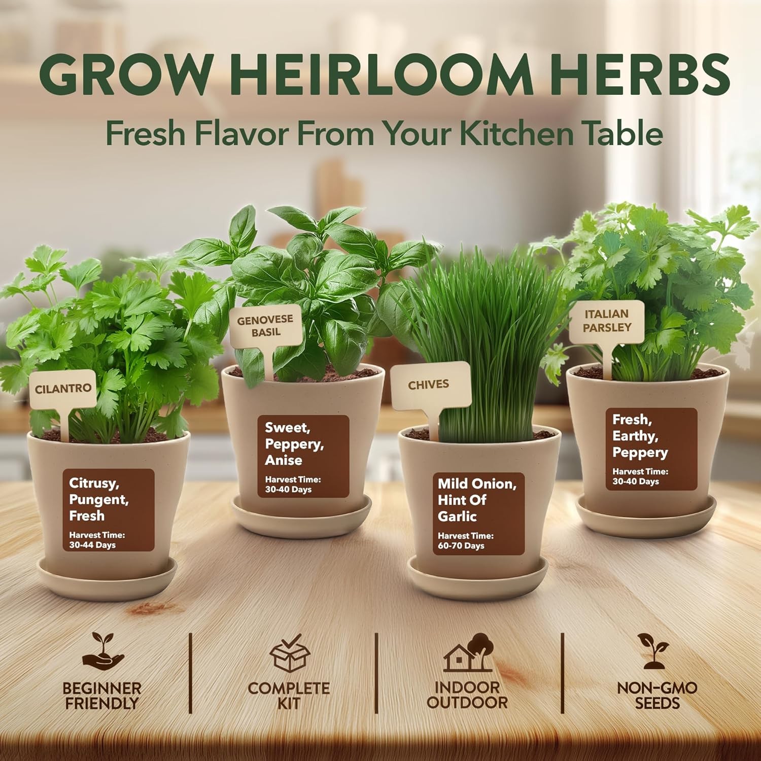 Herb Garden Starter Kit Indoor Grow Set w Pots Soil Seeds Tools