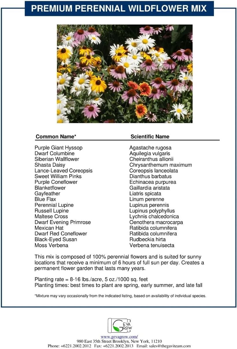 Revitalize Your Yard with Bulk Wildflower Seed Shaker – 900,000+ Organic Seeds