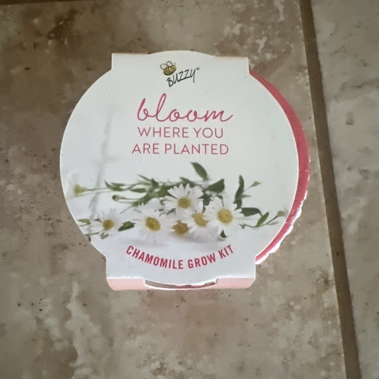 Bullseyes Playground Herb Grow Kits. Box Of 45. Mint, Lavender, And Chamomile