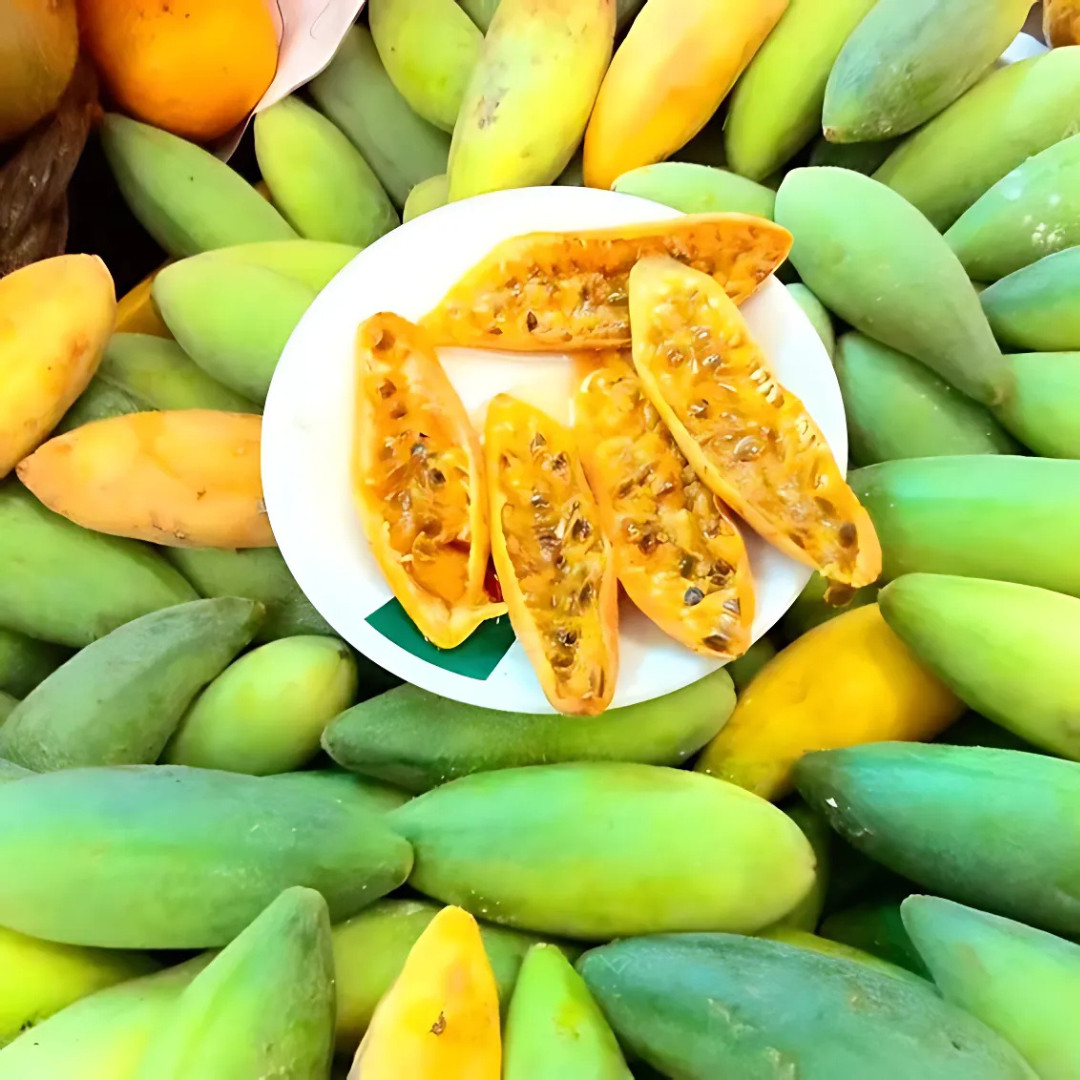 Fresh Premium Banana Passion Fruit Seeds | Heirloom | Non-GMO | Fruit Seeds