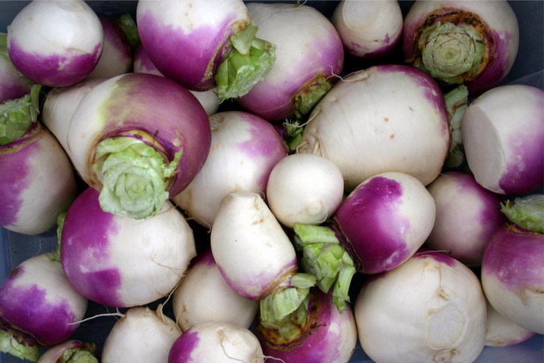 800 seeds! turnip, PURPLE TOP, eat greens too, vegetable GroCo Buy 15-Ships Free
