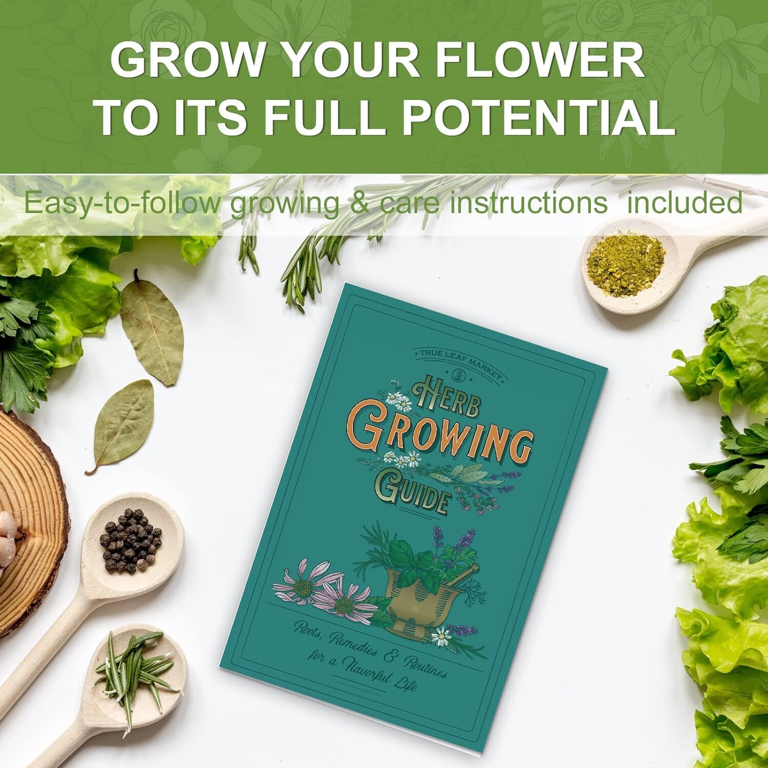 Indoor Herb Grow Kit 5 Seeds Garden Starter Kit