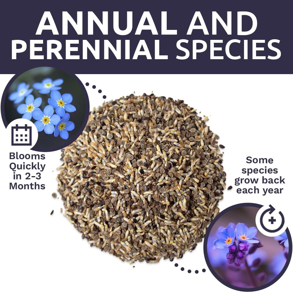 All Blues Wildflower Seeds – Bulk 1/4 Pound Bag – Over 30000 PureAnnual and P…