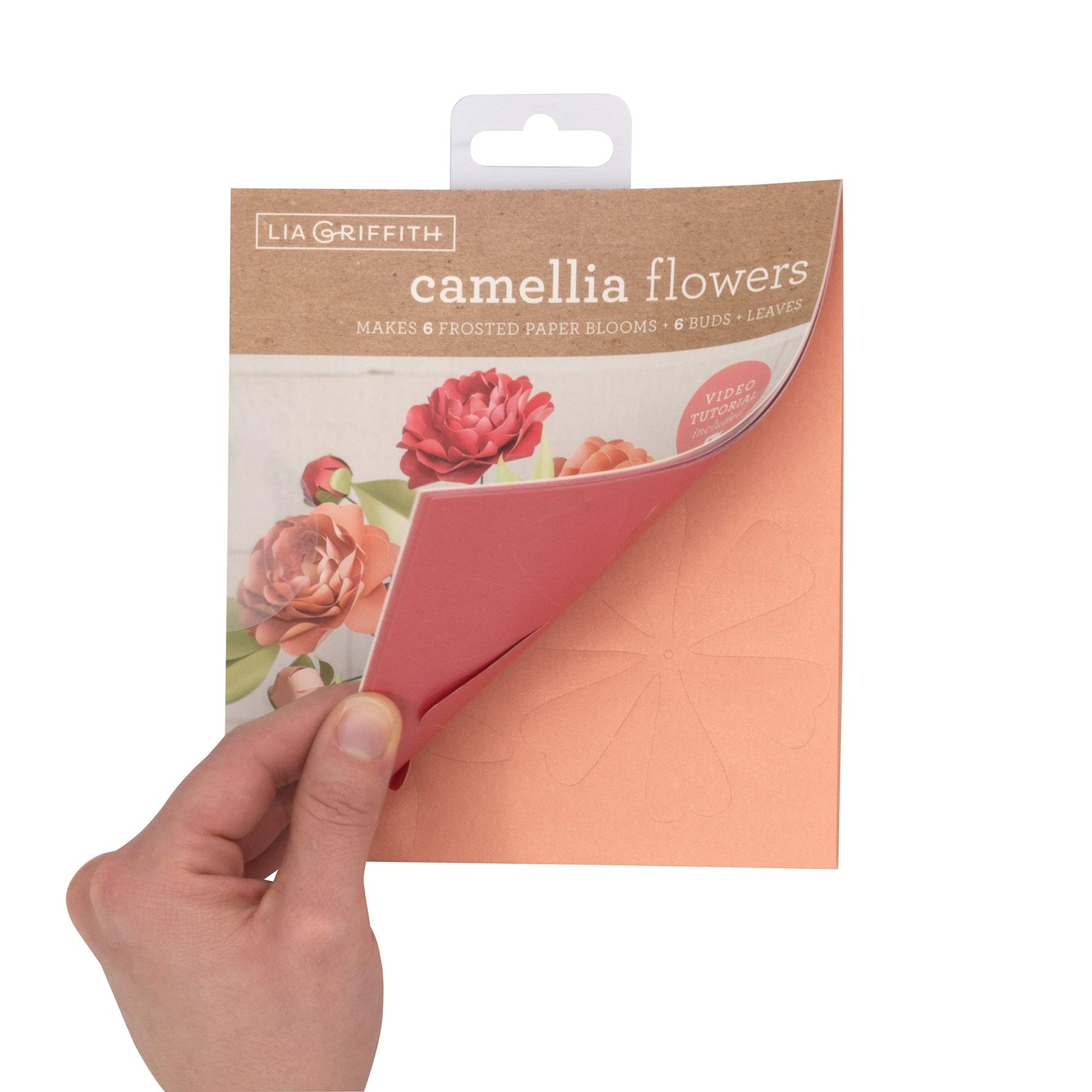 Frosted Paper Camellia Flowers, 21 Count, 6″ x 6.5″, Assorted Colors