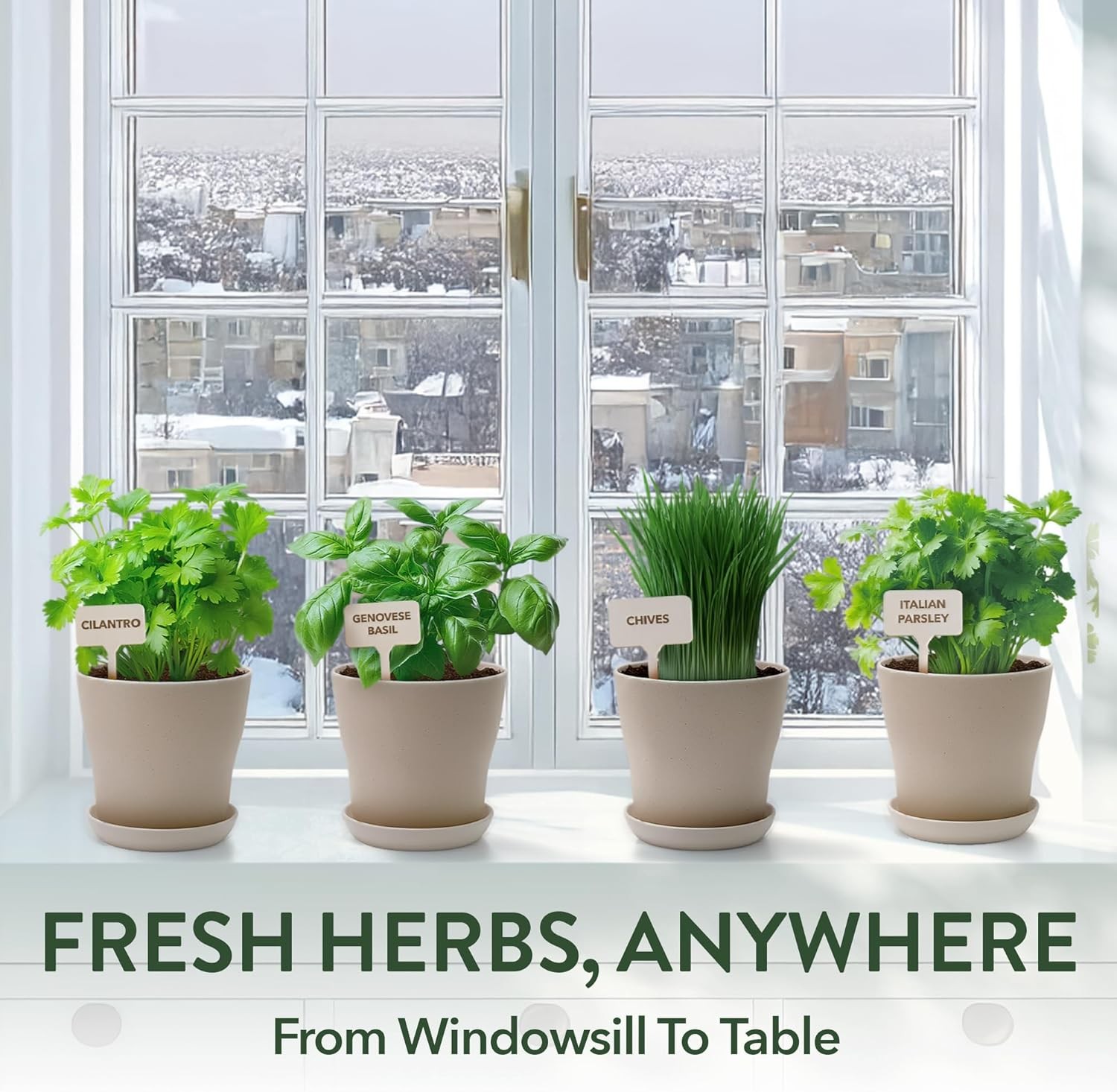 Herb Garden Starter Kit Indoor Grow Set w Pots Soil Seeds Tools