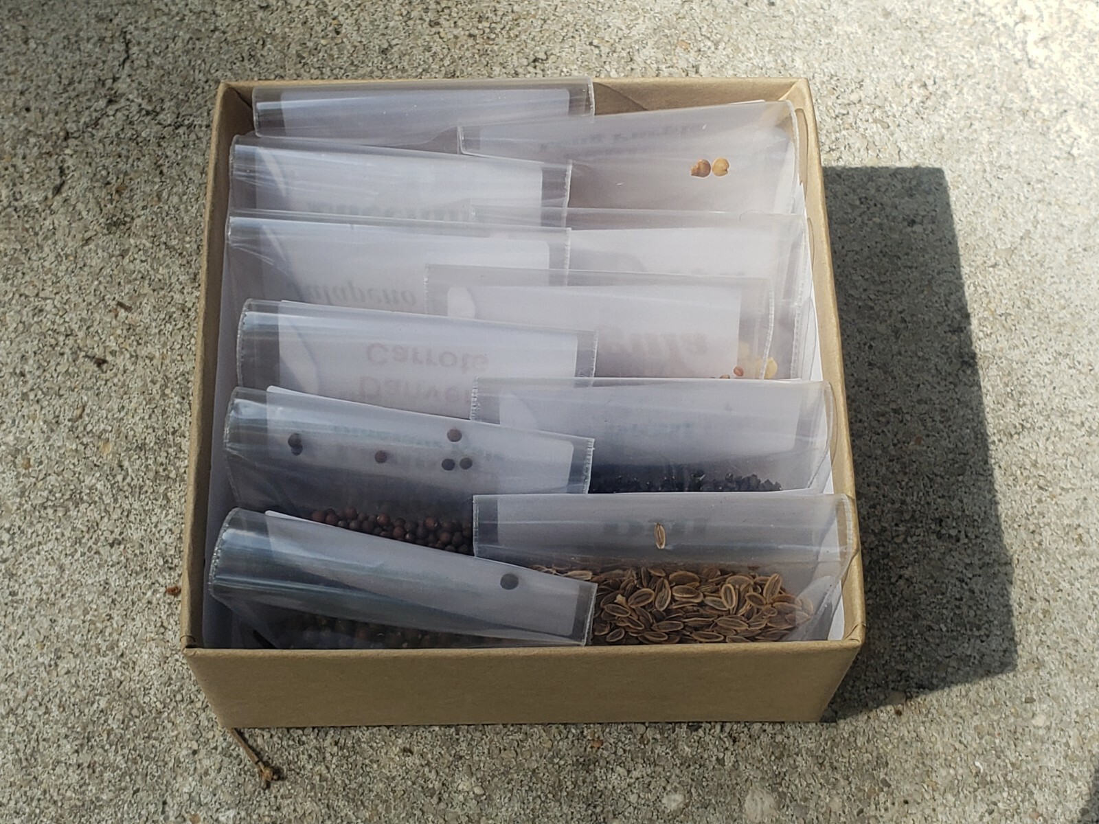 Florida Spring Seed Box (11 Organic Heirloom Seed Varieties)