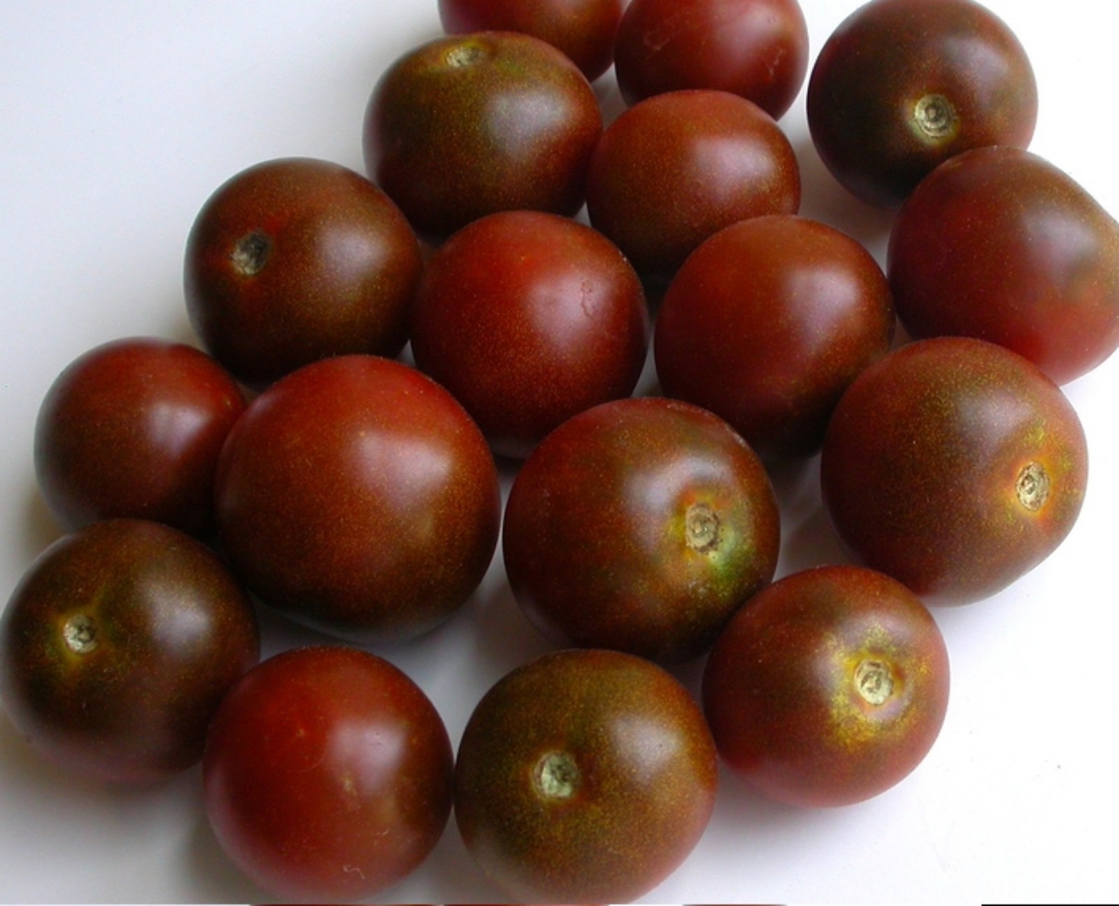Black Cherry Tomato Seeds- Heirloom Variety 40+ 2021 Seeds $1.69 Max. Shipping