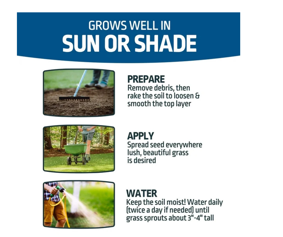 Kentucky Bluegrass Northern Grass Seed Mix, Sun to Partial Shade, 7 lb, New