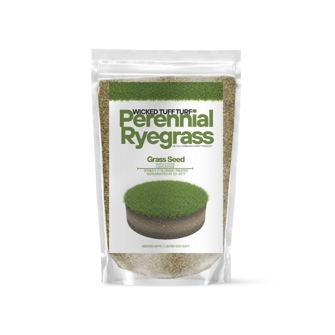 Old Cobblers Farm™ Wicked Tuff Turf Perennial Ryegrass Seed – Fast-Germinating