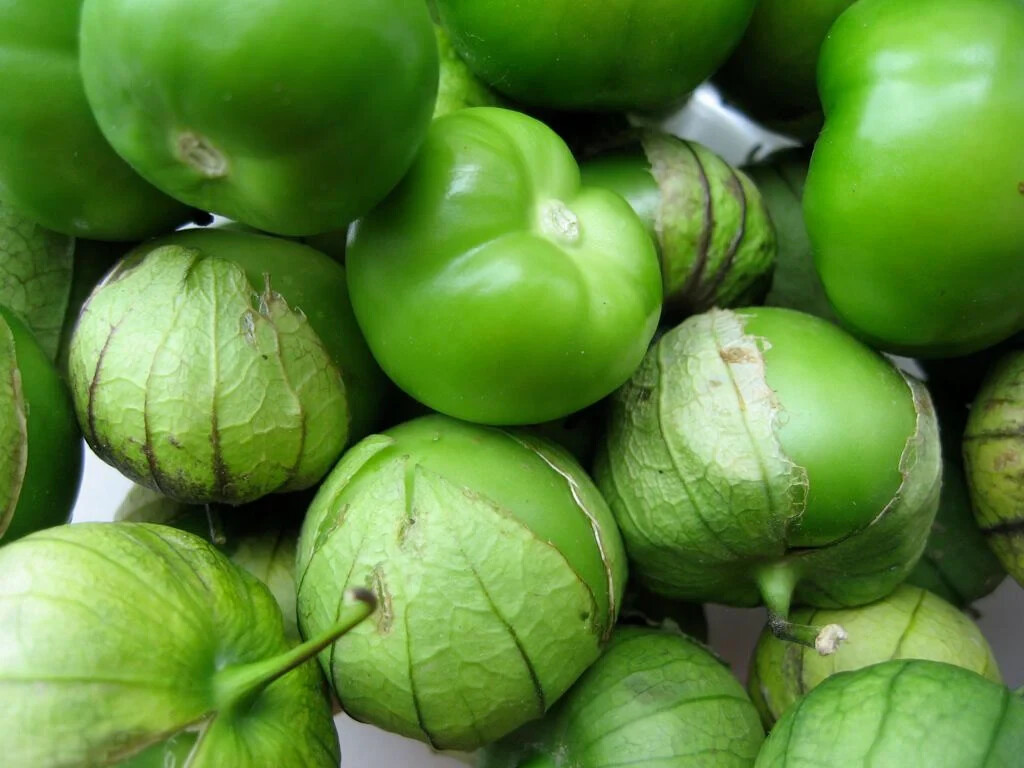 Grande Rio Verde Tomatillo, 50 Seeds, NON-GMO, Mexican Husk Tomato, FREE SHIP