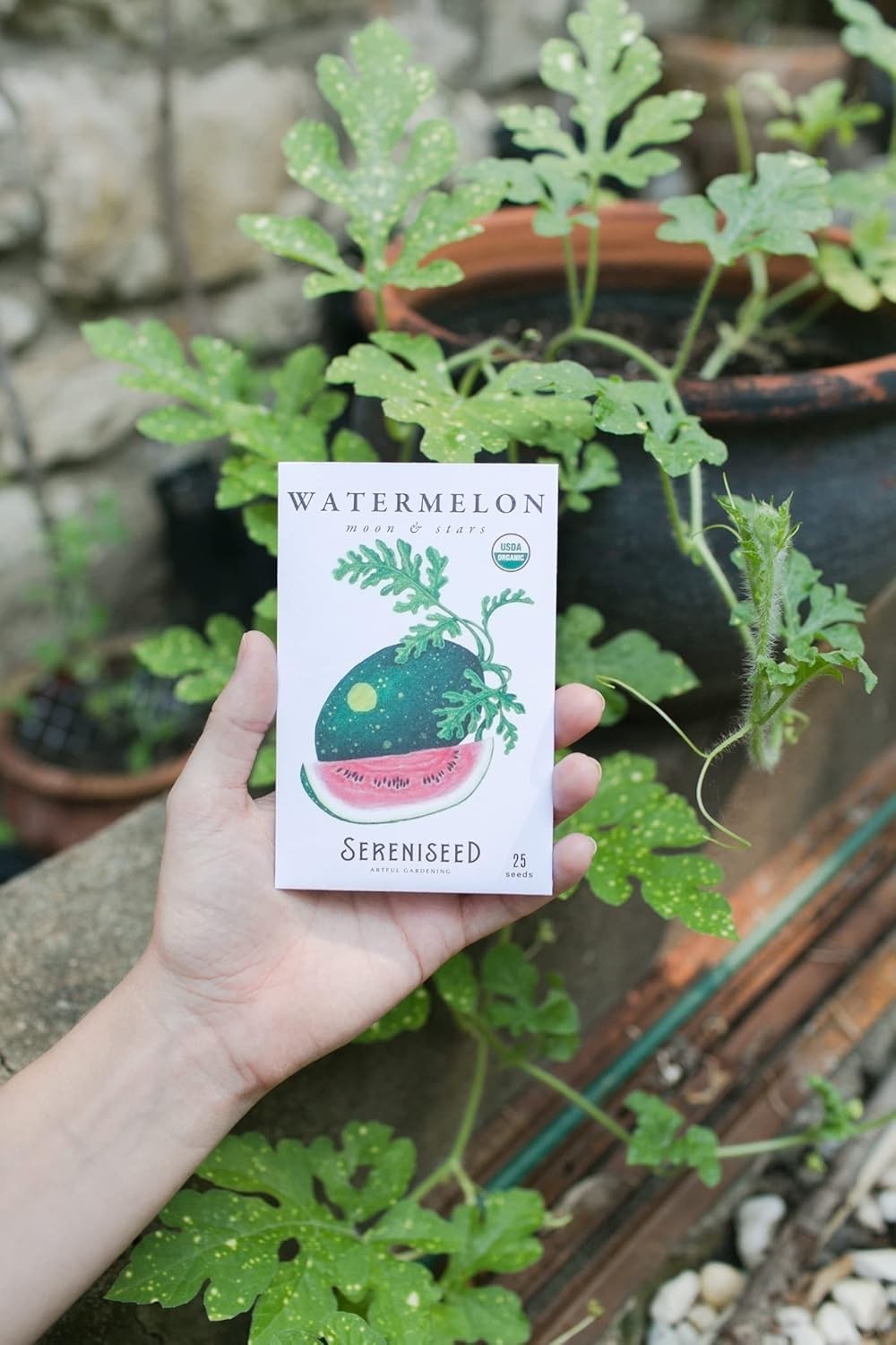 Non-GMO Vegetable Seeds for Planting – 20 Varieties for Indoor/Outdoor Use