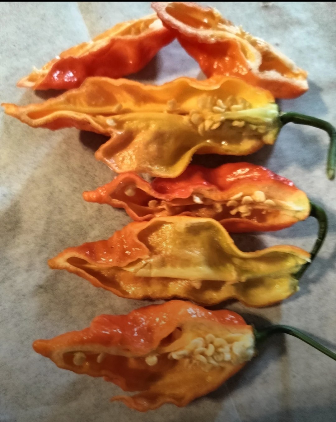 SUPERHOT!- Variety Pack – Over 200! Seeds – One Dozen Different Hot Varieties.