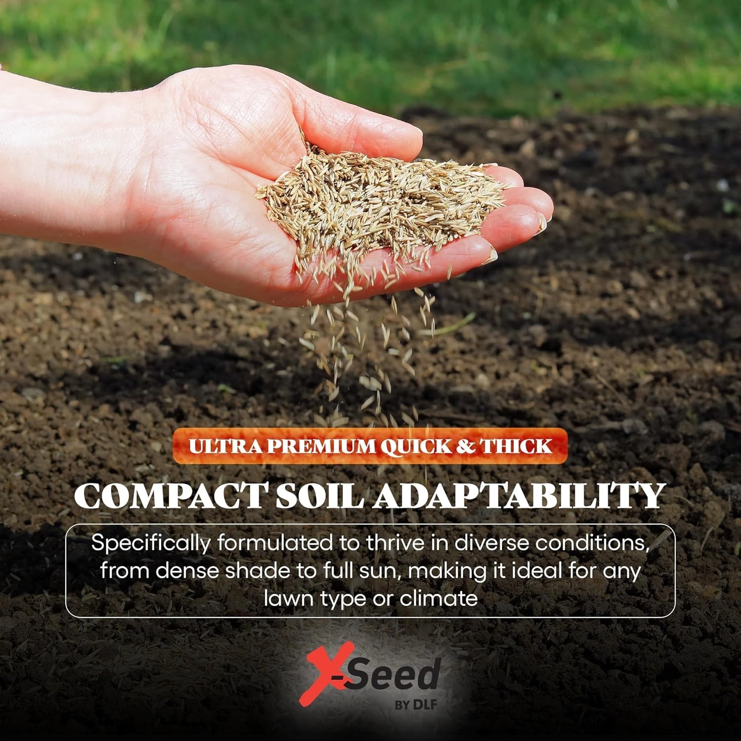 Ultra Quick and Thick Lawn Seed Mixture – Rapid Germination for Any Lawn, De…