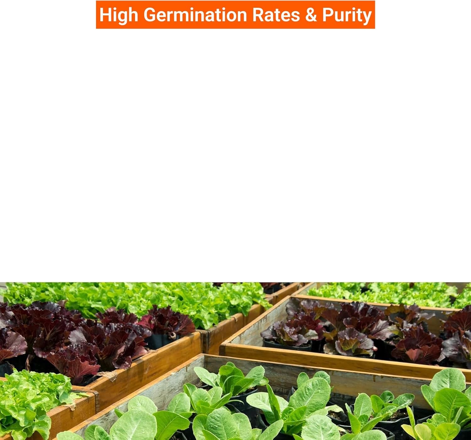 15K Survival Heirloom Seeds, 18 Types, Non GMO Veg & Fruit Seeds, 2026 Season