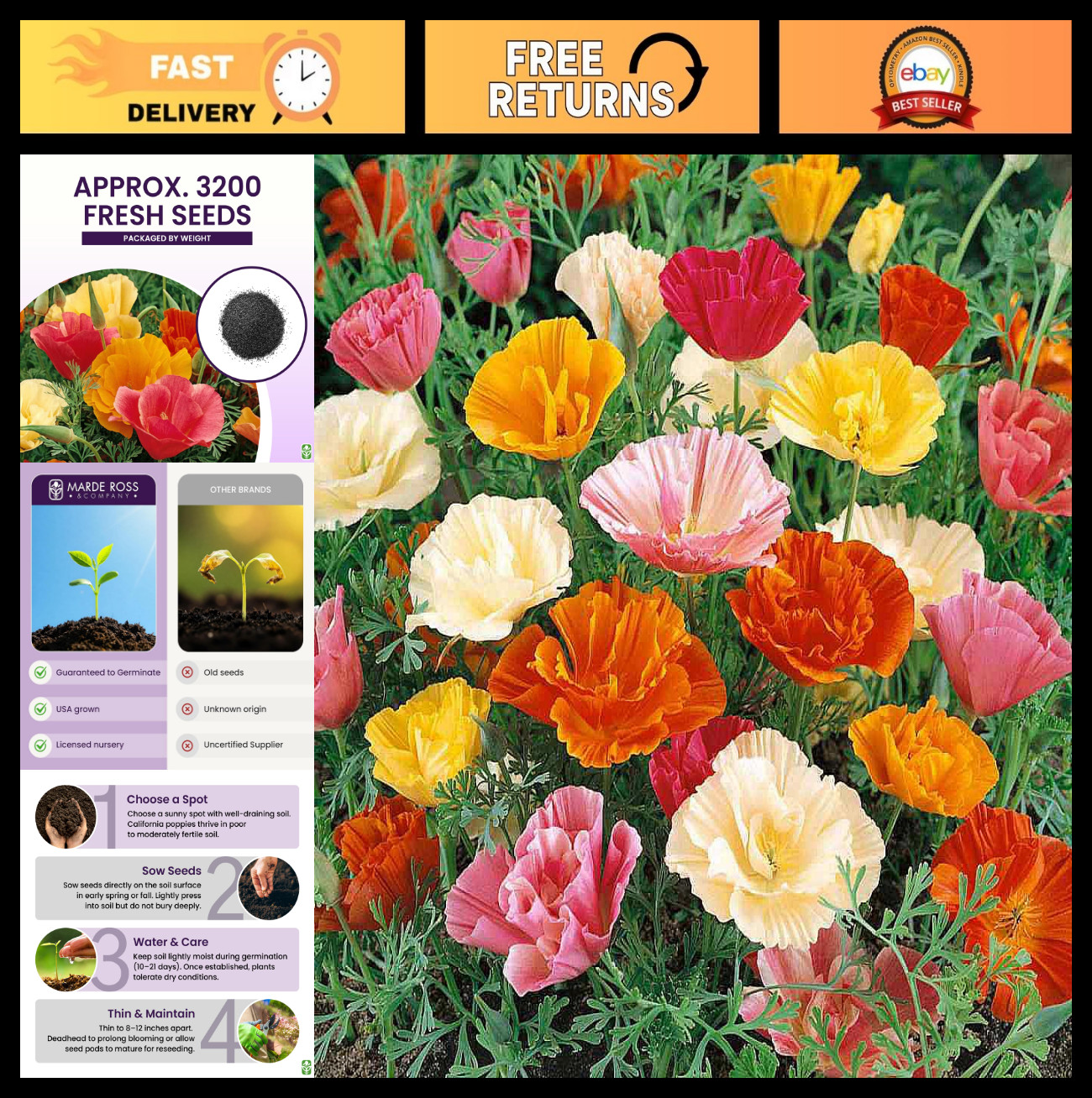California Poppy Seeds – 3,200 Fresh Mission Bells Mix – Pet Friendly Wildflower