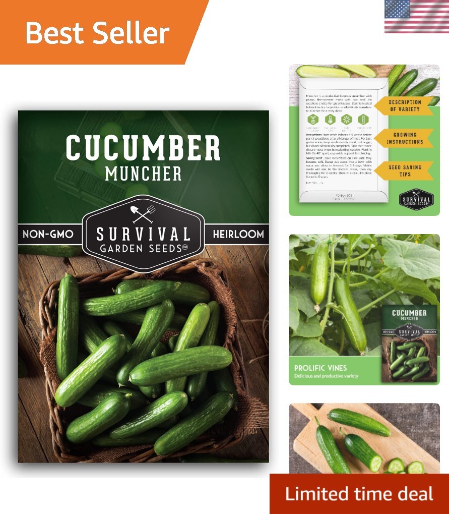 Muncher Cucumber Seeds – Burpless Variety for Easy Digesting & Snacking – 1 Pack