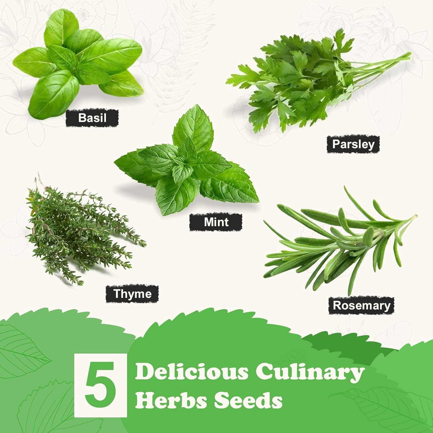 5 Herb Seeds Garden Starter Kit with Complete Planting Kit & Wooden Flower Box