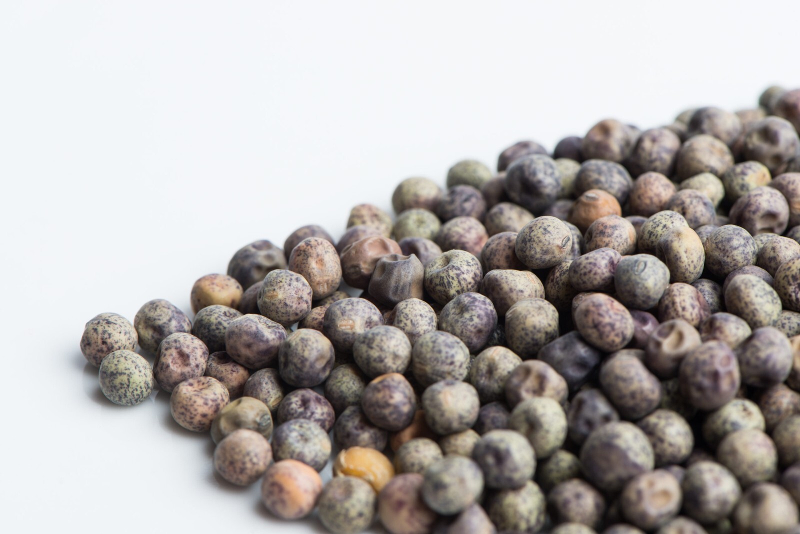 MICROGREENS SEEDS – PEA SPECKLE (ORGANIC) – 8.oz