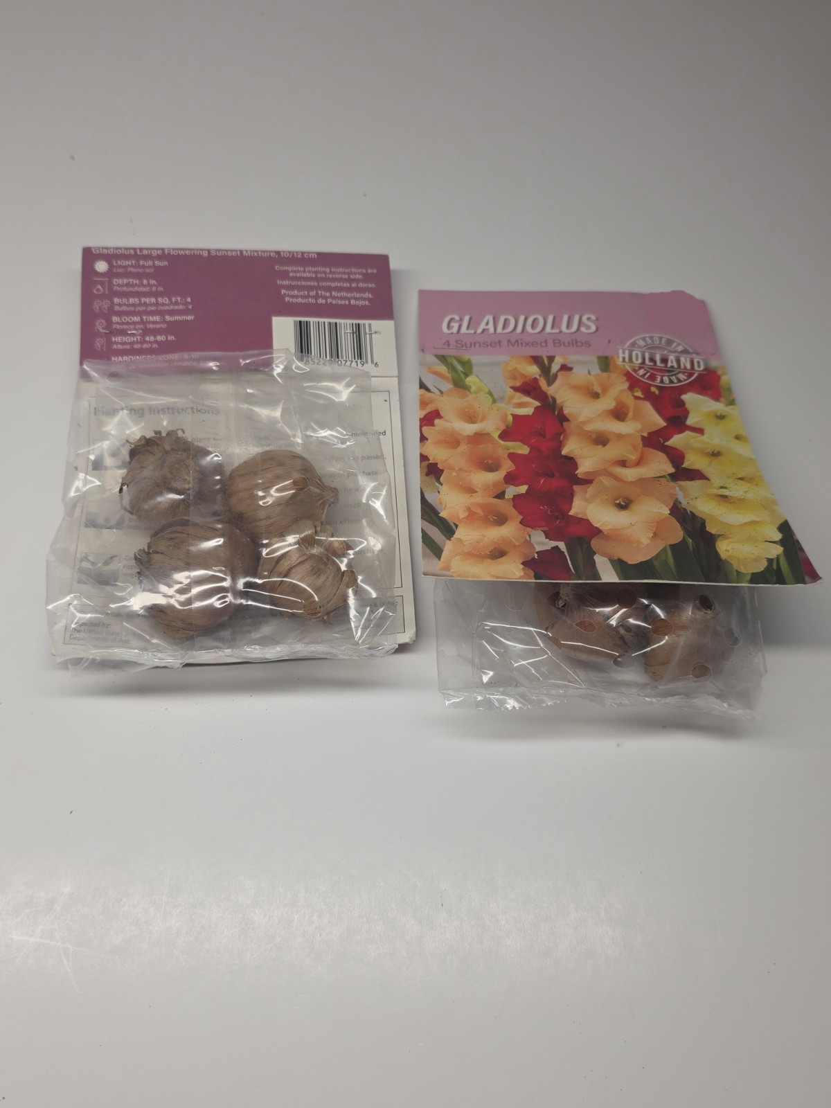Lot Of 2 Packs of Holland Sunset Mixed Gladiolus Bulbs (4 bulbs each)