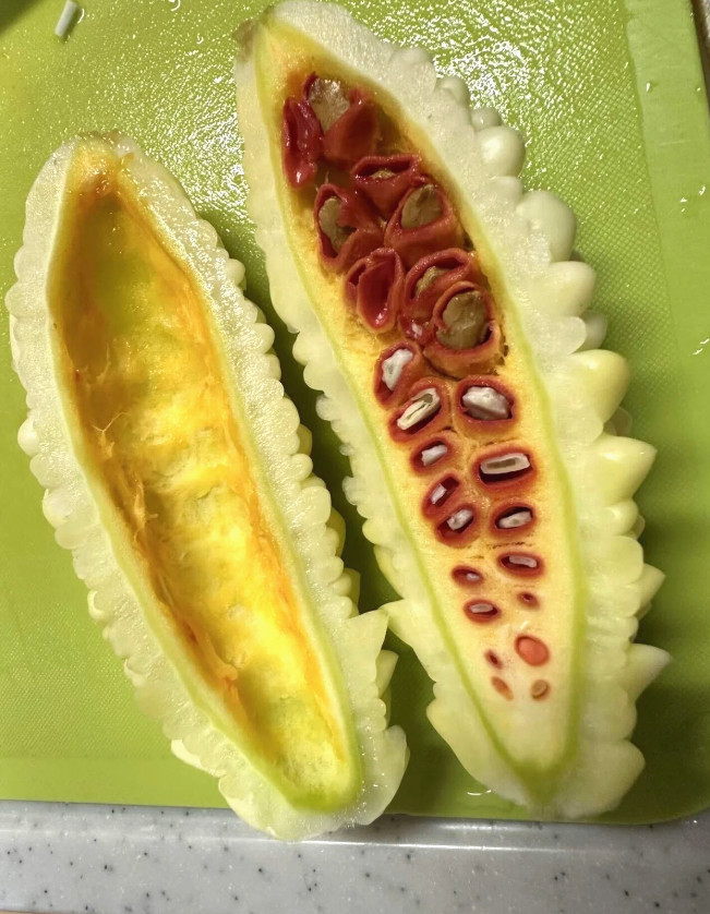 🌱Japanese Heirloom Bitter Melon Jyunpaku Pure White 6 Seeds