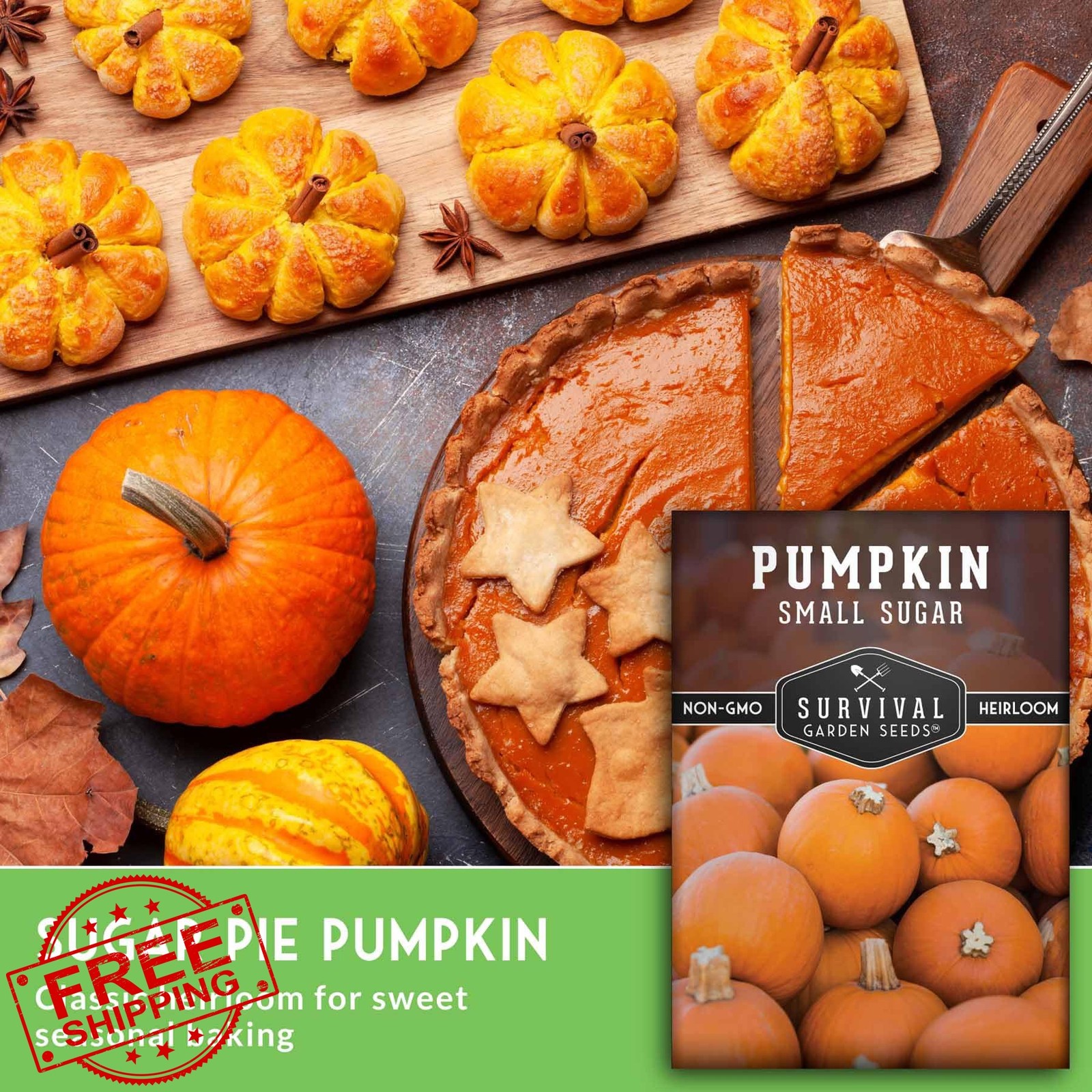 Small Sugar Pumpkin Seeds for Planting – Heirloom Sugar Pie Pumpkins, Sweet B…