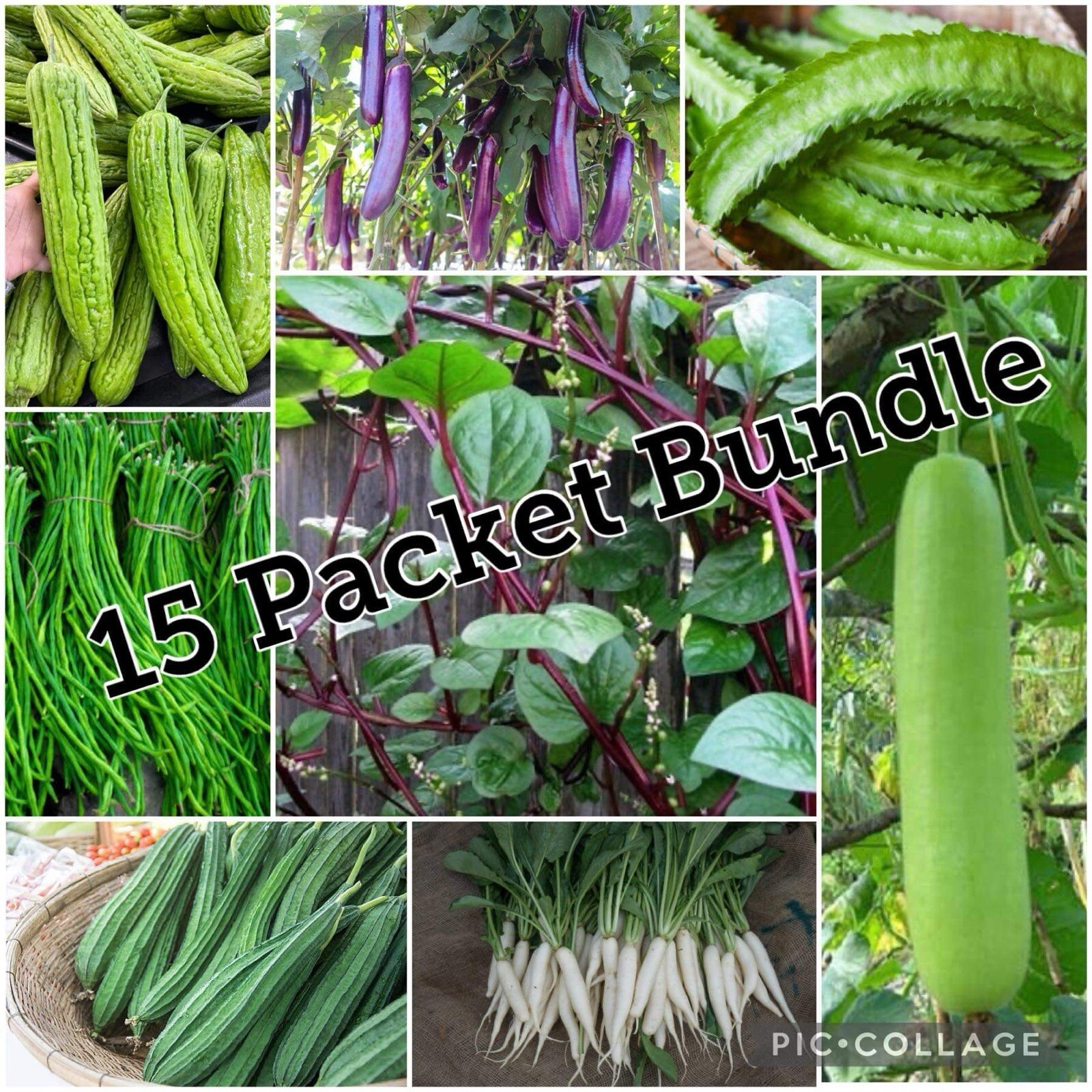 15 Packets of Asian – Filipino Vegetable SEEDS for Planting