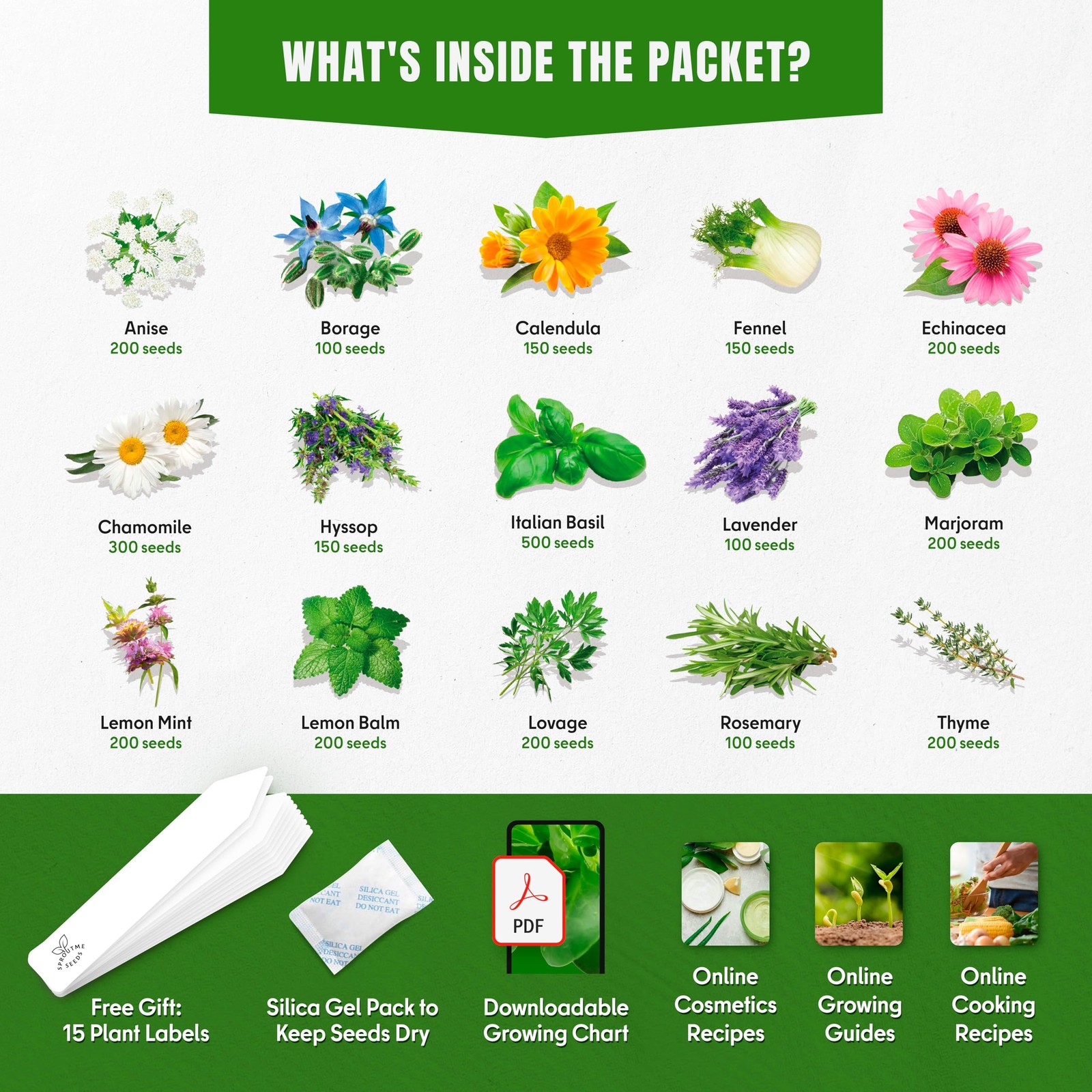 Medicinal Herb Seeds Variety Pack – 15 NonGMO Heirloom Seeds for Indoors &