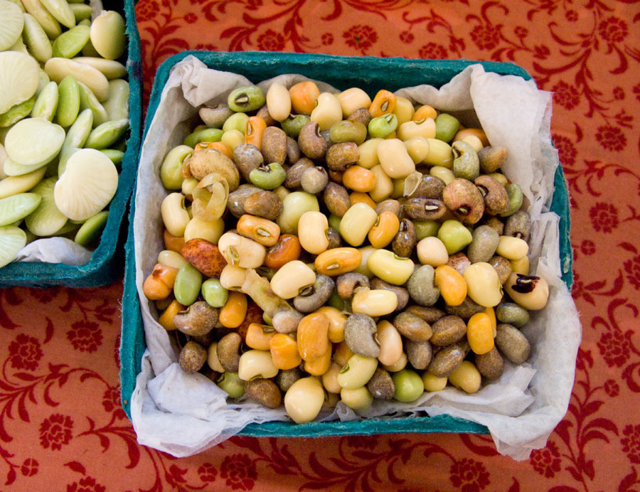 CALIFORNIA BLACK-EYE ( COWPEAS ) SEEDS * BEAN-BUSH * BLACK-EYE BEANS *