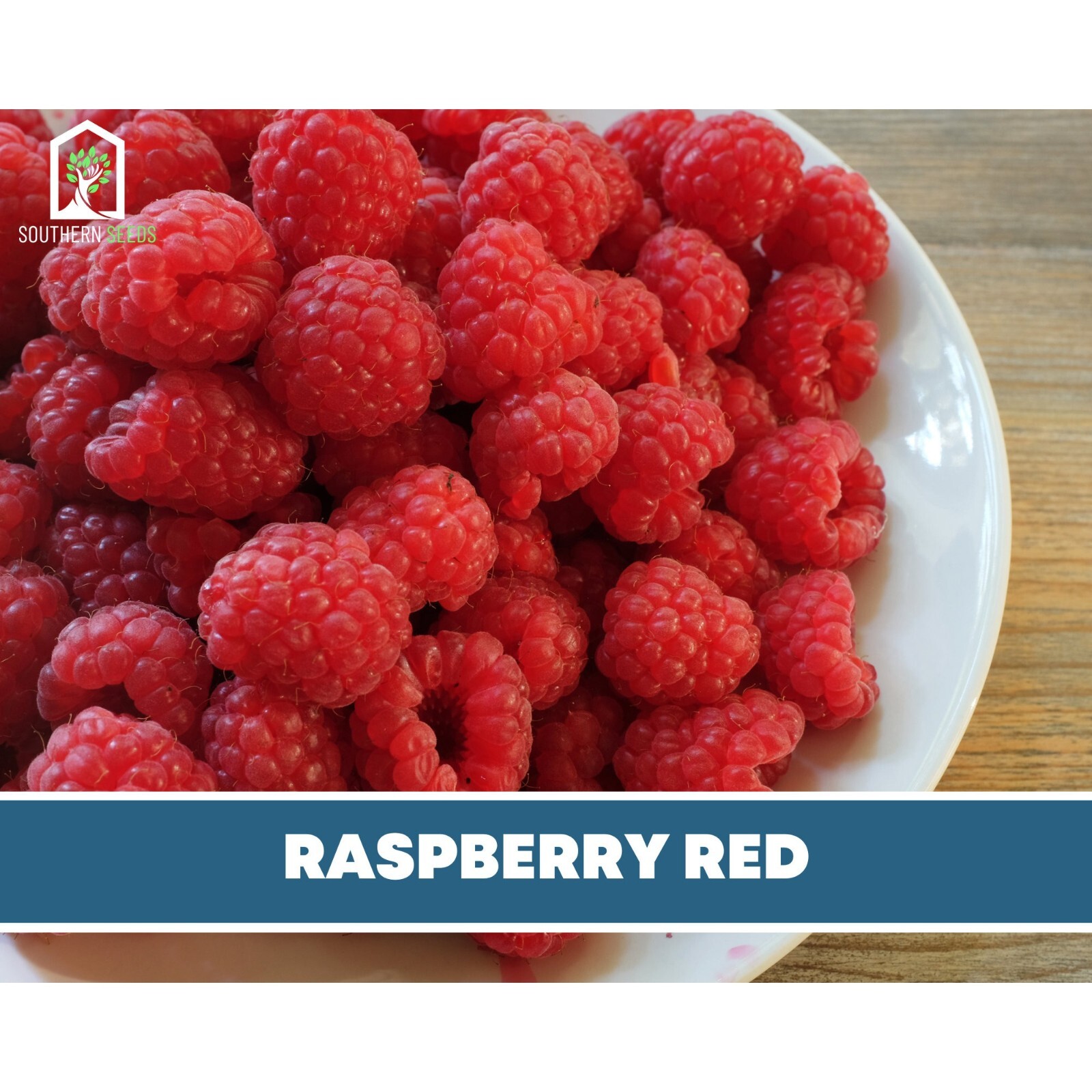 Raspberry, Red European – Heirloom Seeds – Non GMO (Rubus idaeus var. idaeus)