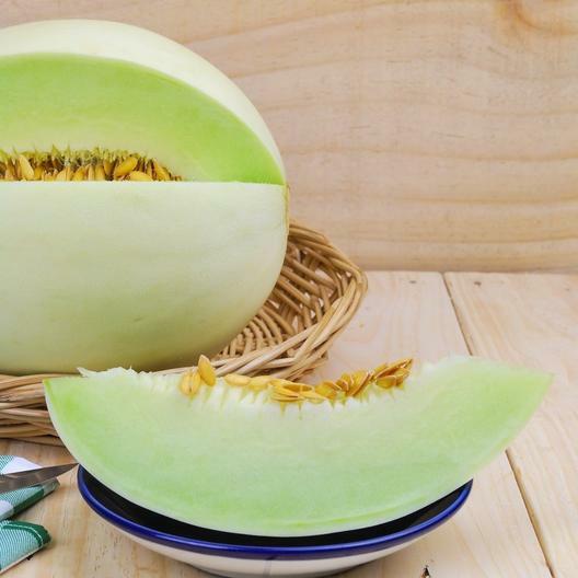 100 Green Flesh Honeydew Melon Seeds Green Flesh Non-GMO Free Shipping