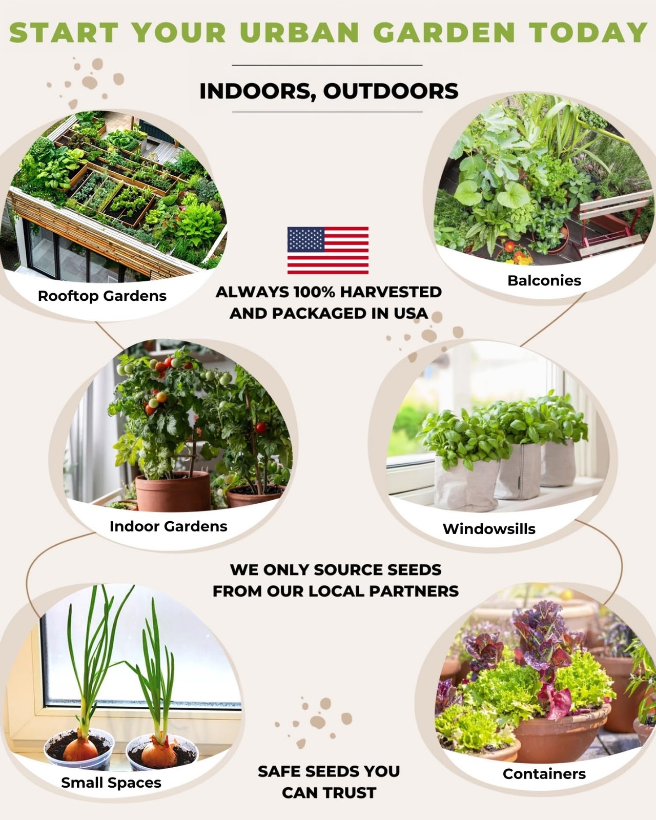 15 Vegetable Kit Varieties for Small Urban Garden, Balconies & Patios – Non-G…